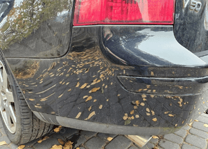 Volvo  V50 zderzak tyl tylny 019-26 3