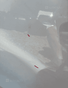 Drzwi lewy przod przednie kpl audi A6 C7 LY9C org 7