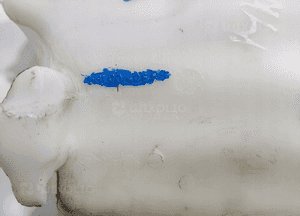 ZBIORNICZEK PŁYNU DO SPRYSKIWACZY RENAULT MASTER IV 289100406R 2019-2024 5