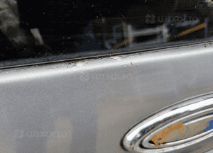 KLAPA bagażnika tył tylna kompletna szyba lampy Ford S-Max I 06-10 8