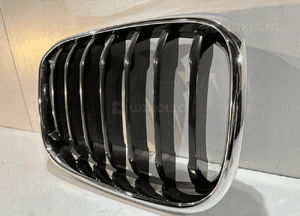 BMW X3 G01 / X4 G02 Grill / Nerka / Prawa - 14600 3