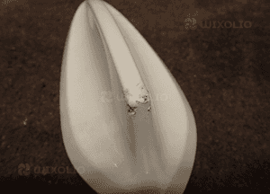 REKIN OBUDOWA ANTENY BMW III 3 F30 F31 2