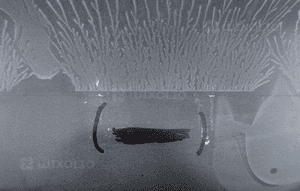 Renault clio iv lift zderzak tył tylny 850226858R 13