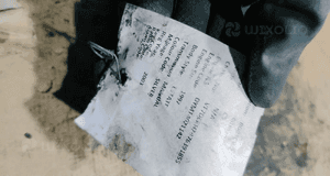 ROZRUSZNIK CITROEN C5 EXCLUSIVE 2003 2.0 DIESEL MANUAL WYSYŁKA! 6