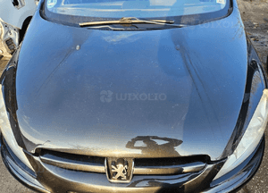 Peugeot 307  maska EXLD 3