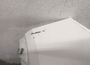 ZDERZAK PRZÓD OPEL CROSSLAND 3