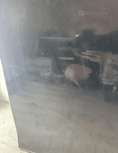 Drzwi prawy przod przednie bmw 7 G11 G12 475 10