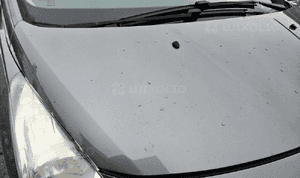 Peugeot 3008 maska   KTHC 2