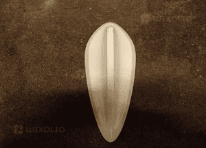 REKIN OBUDOWA ANTENY BMW III 3 F30 F31 1