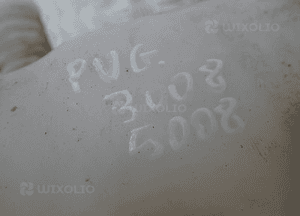 ZBIORNICZEK SPRYSKIWACZY PEUGEOT 5008 I 9685005580 RADOM 3