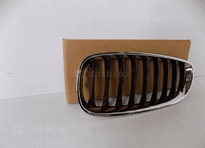 BMW Z4 E89 Nerka / Grill Zderzaka L - 3834 6