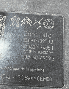 Pompa abs peugeot citroen opel 9846124480 org fv 3