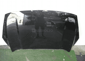 Ford kuga MK3 maska 4