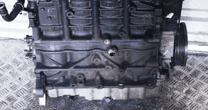 SILNIK VW GOLF V 1.9 TDI 8V 105KM BXE 2007 14