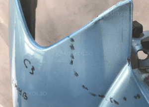 Błotnik prawy przód Citroen C3 I 02-09r 3