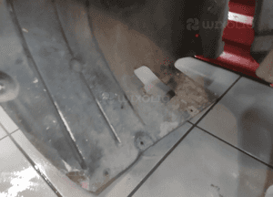 Bmw 5 E60 E61 nadkole prawy lewy przód przednie kompletne oryginał bdb 13