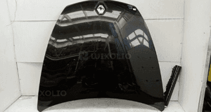 RENAULT LAGUNA III COUPE maska NV676 w kolor 1