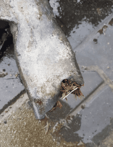 Wózek sanki przód RWD Mercedes E-klasa coupe W207 C-klasa W204 5