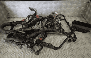 Wiązka instalacji silnika nissan juke  242704ED0A 2