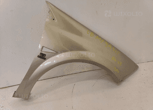 Renault Megane II 02-08 BŁOTNIK PRAWY PRZÓD PRZEDNI 1