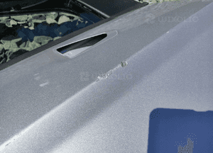 Drzwi prawe prawy przód przednie seat leon iii 5F 2012-2016 3