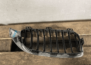 Nerka atrapa grill zderzak przód lewa bmw F32 F33 3