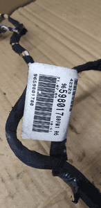 Wiązka instalacja drzwi prawy przód Citroen C3 I 9659801780 6