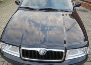 ZWROTNICA MCPERSON PRAWA VW GOLF IV LEON I AUDI A3 SKODA OCTAVIA I 1.9 TDI 90KM 2