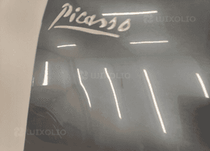 Citroen C4 Picasso 06-13 BŁOTNIK PRZEDNI PRZÓD PRAWY 6