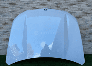 Maska bmw X1 U11 A300 1