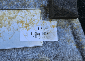 Podsufitka Sufit Tapicerka Jasna Silber Soul Audi A4 B6 B7 Sedan Odklejona Wisi 21