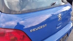 Peugeot 307 klapa tył tylna EGJB 3