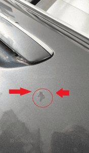 Audi A8 D3 drzwi prawe przód przednie LZ7R 5