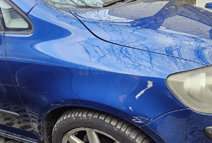 VW Golf 5 V  Plus błotnik przód przedni prawy lewy   LC5J 6
