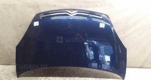 @ MASKA CITROEN XSARA PICASSO LIFT LAKIER EGED 1