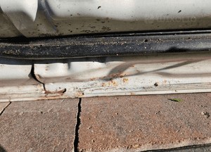 Toyota Prius III 09-15 drzwi prawe przednie 070 6
