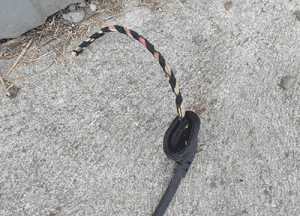 Instalacja Wiazka Kola Hamulca Recznego ABS Tyl Tylne Lewa Prawa Audi A4 B8 A5 3