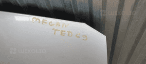 Maska przód przednia Renault Megane II TED69 6