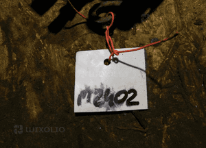 stilo zacisk hamulcowy nr M2402 WYSYŁKA 3