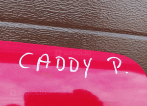 Drzwi przesuwne prawe VW Caddy III LY3D 7