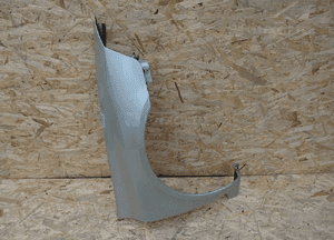 Blotnik prawy przod RENAULT LAGUNA II 3