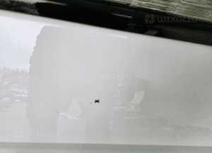 Drzwi bmw X7 G07 kolor A300 3