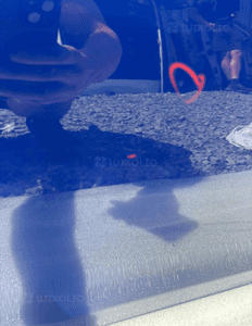 Drzwi prawy przod przednie peugeot 308 ii T9 eegd 12