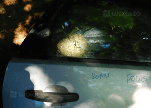 focus MK2 kombi drzwi kolor 08 nr 4703 WYSYŁKA 4