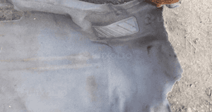 Mazda Premacy 99-05 Dywan Wykładzina podłogowa 4