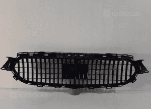 Mercedes E W213 LCI Maybach Atrapa / Grill - 11970 6