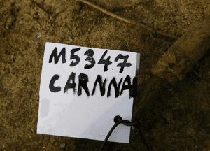 kia carnival maglownica przekładnia nr M5347 WYSYŁKA 2