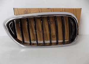 Nerka/Grill Zderzaka BMW 5 G30/G31 Prawa - 3828 1