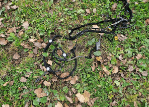 Wiazka Instalacja Wnetrza Europa 1.9 TDI DIESEL Audi A4 B6 Kombi Manual 25