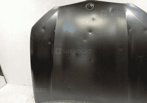 Maska pokrywa silnika bmw X5 G05 X6 G06 18- 2